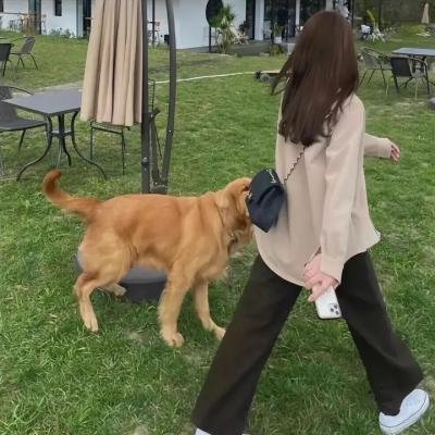 巨怪猎人第三季